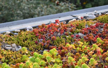 the cost of Millhall green roof installation